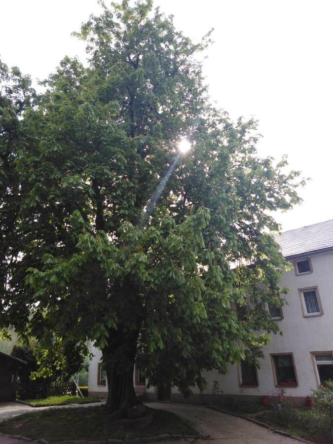 Landpension Haupt Sebnitz Exterior foto