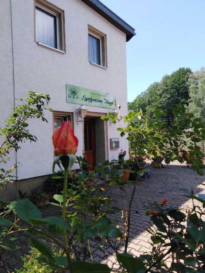 Landpension Haupt Sebnitz Exterior foto