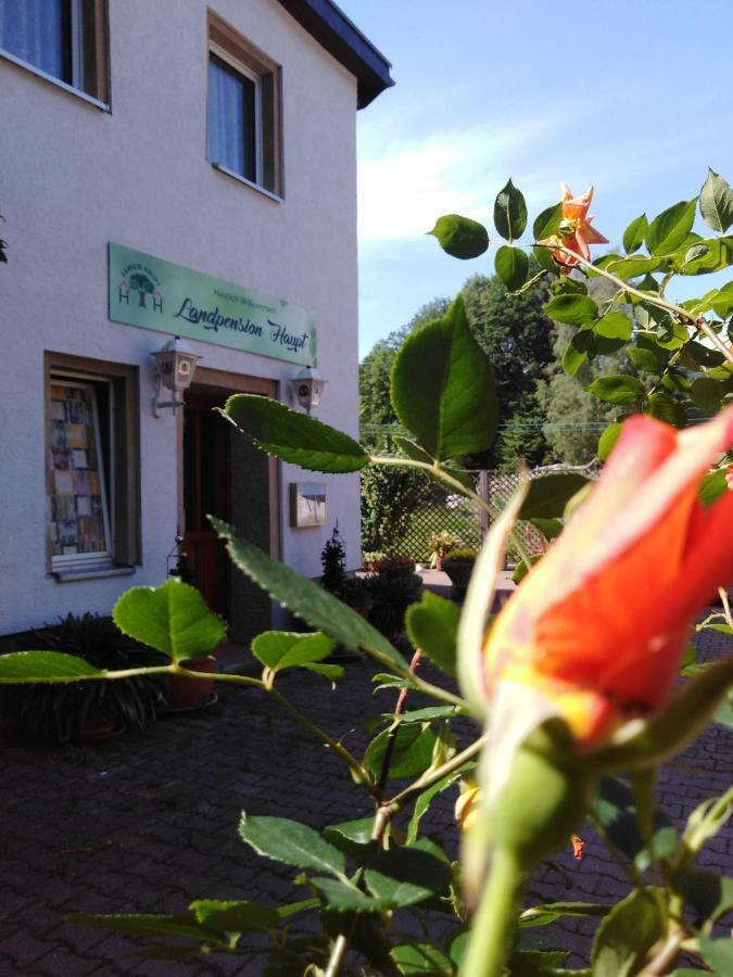 Landpension Haupt Sebnitz Exterior foto