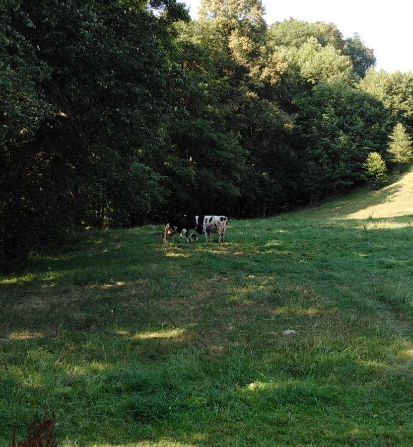 Landpension Haupt Sebnitz Exterior foto